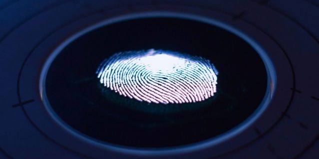 El novedoso servicio digital para proteger archivos virtuales